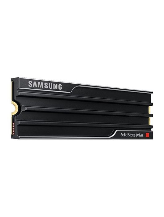 Samsung 1TB M.2 2280 NVMe 9100 Pro with Heatsink