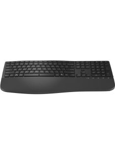 HP 685 Comfort Dual-Mode Wireless keyboard Black US