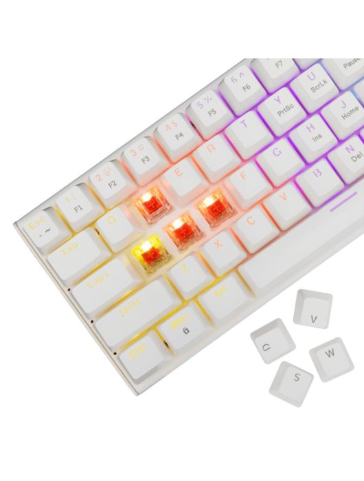 White Shark Wakizashi 2 Red Switches Gaming Keyboard White US