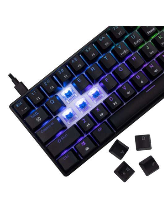 White Shark Shinobi 2 RGB Gaming keyboard Black US