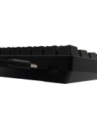 White Shark Shinobi 2 RGB Gaming keyboard Black US