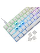 White Shark Shinobi 2 RGB Gaming keyboard White US