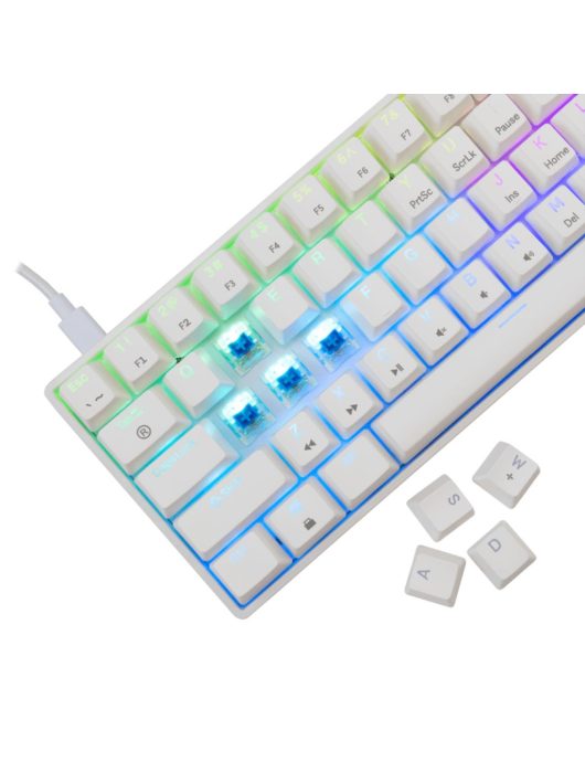 White Shark Shinobi 2 RGB Gaming keyboard White US