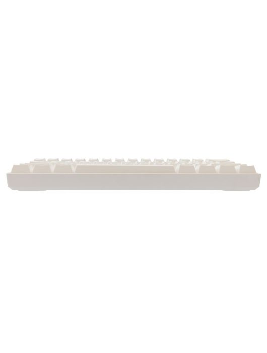 White Shark Shinobi 2 RGB Gaming keyboard White US