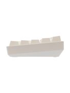 White Shark Shinobi 2 RGB Gaming keyboard White US
