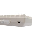 White Shark Shinobi 2 RGB Gaming keyboard White US
