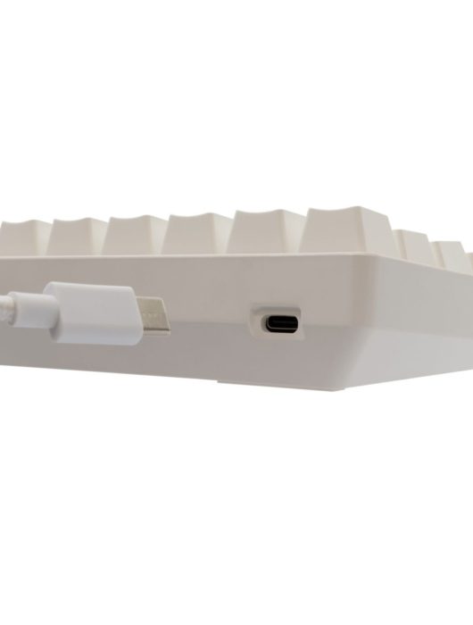 White Shark Shinobi 2 RGB Gaming keyboard White US