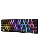 White Shark Ashiko 2 Blue Switches Mechanical 60% Gaming Keyboard Black US