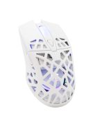 White Shark GM-5018 Caradoc Gaming mouse White