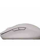 Canyon MW-12 Dual Band Wireless Mouse Beige