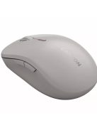 Canyon MW-12 Dual Band Wireless Mouse Beige