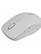 Canyon MW-12 Dual Band Wireless Mouse Grey