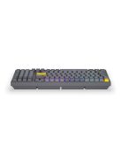Endorfy Celeris 1800 Wireless Bluetooth Yellow Switch Mechanical Keyboard Black US