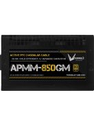 Formula 850W 80+ Gold APMM-850GM