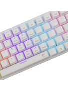 White Shark Wakizashi 2 Blue Switches Gaming Keyboard White US