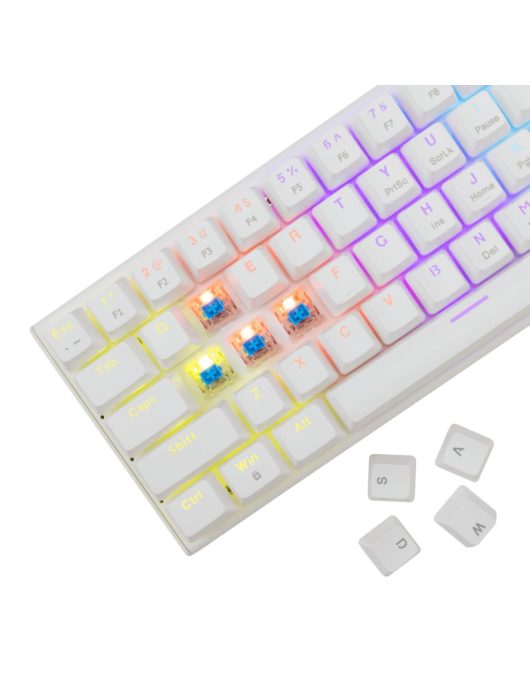 White Shark Wakizashi 2 Blue Switches Gaming Keyboard White US