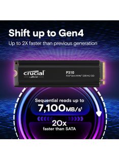 Crucial 4TB M.2 2280 NVMe P310 with Heatsink