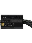 Cooler Master 750W 80+ Gold MWE V3