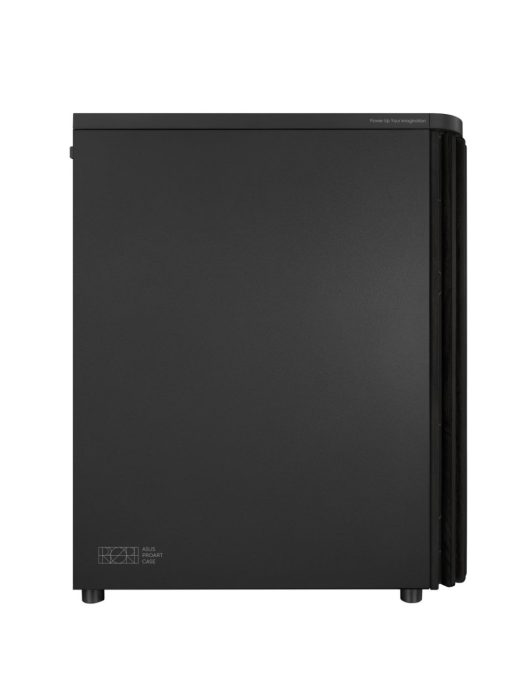 Asus ProArt PA401 Wood Edition Black