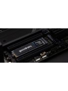 GoodRam 256GB M.2 2280 NVMe PX500 Gen 3