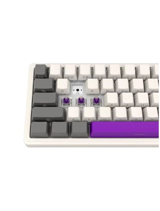 LORGAR KBP70MW Wireless Mechanical Gaming Keyboard Beige US