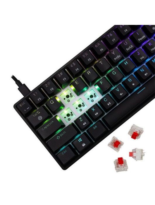 White Shark Shinobi 2 Gaming Keyboard Black HU
