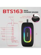 Energizer BTS163 Bluetooth Speaker with PowerBank Black