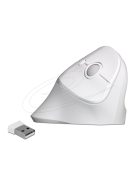 DeLock Ergonomic Wireless vertical Mouse White