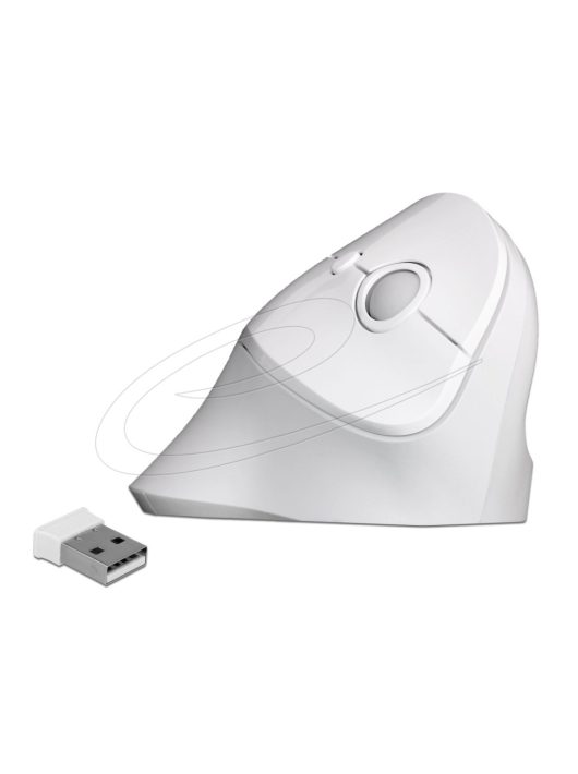 DeLock Ergonomic Wireless vertical Mouse White