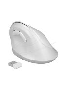 DeLock Ergonomic Wireless vertical Mouse White