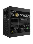 Gigabyte 750W 80+ Gold UD750GM PG5 V2