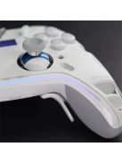 Flydigi Apex 5 Wireless Bluetooth Gamepad Grey