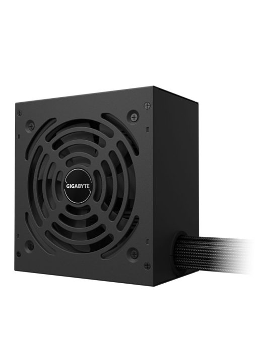 Gigabyte 650W 80+ Gold PG5