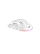Avax LW01 PAW3327 RGB Gamer Mouse White