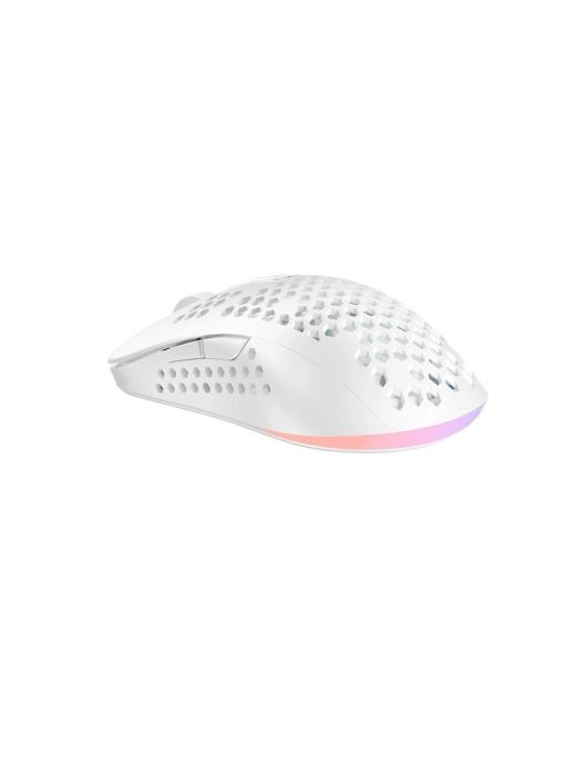 Avax LW01 PAW3327 RGB Gamer Mouse White