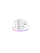 Avax LW01 PAW3327 RGB Gamer Mouse White