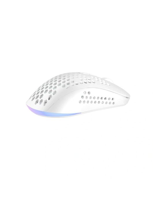 Avax LW01 PAW3327 RGB Gamer Mouse White