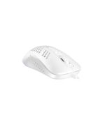 Avax LW01 PAW3327 RGB Gamer Mouse White