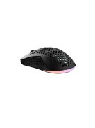 Avax LW01 PAW3327 RGB Gamer Mouse Black