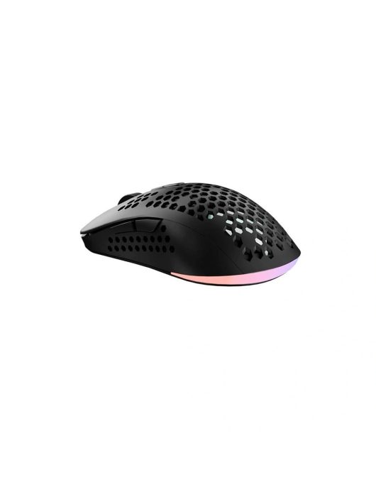 Avax LW01 PAW3327 RGB Gamer Mouse Black