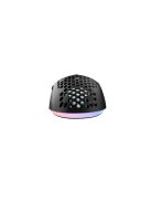 Avax LW01 PAW3327 RGB Gamer Mouse Black