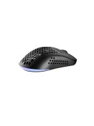 Avax LW01 PAW3327 RGB Gamer Mouse Black
