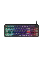 Msi FORGE GK110 Gaming Keyboard Black HU