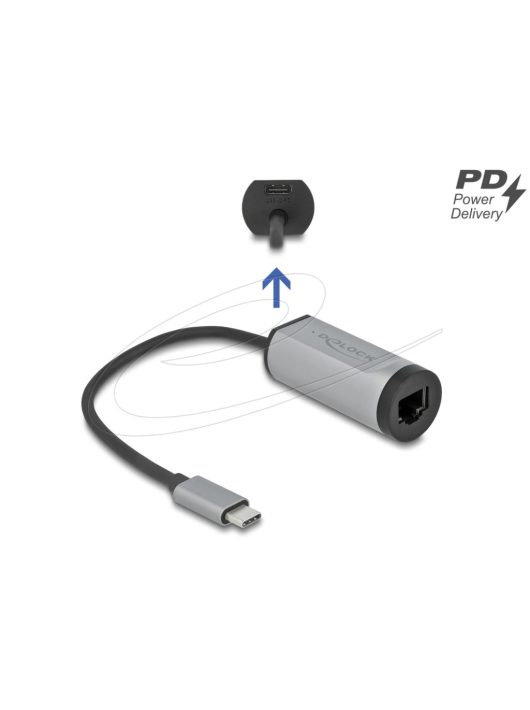 DeLock USB Type-C Adapter to Gigabit LAN with Power Delivery port Grey