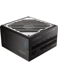 FSP 1000W 80+ Gold MEGA GM