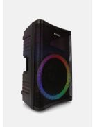 Thonet & Vander Stark Gen2 Party Speaker Black