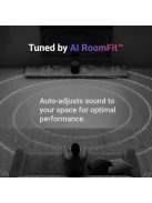 WiiM Sound Lite Speaker Black