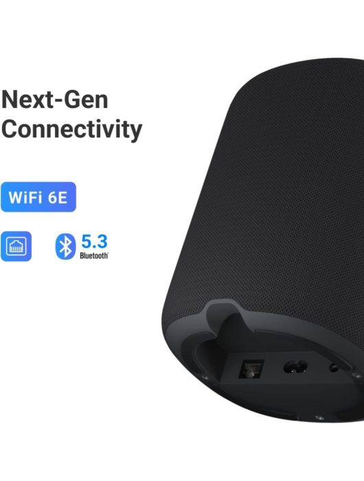 WiiM Sound Lite Speaker Black