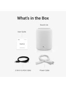 WiiM Sound Lite Speaker White