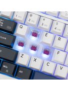 White Shark Excalibur Gaming Wireless Bluetooth Keyboard White US